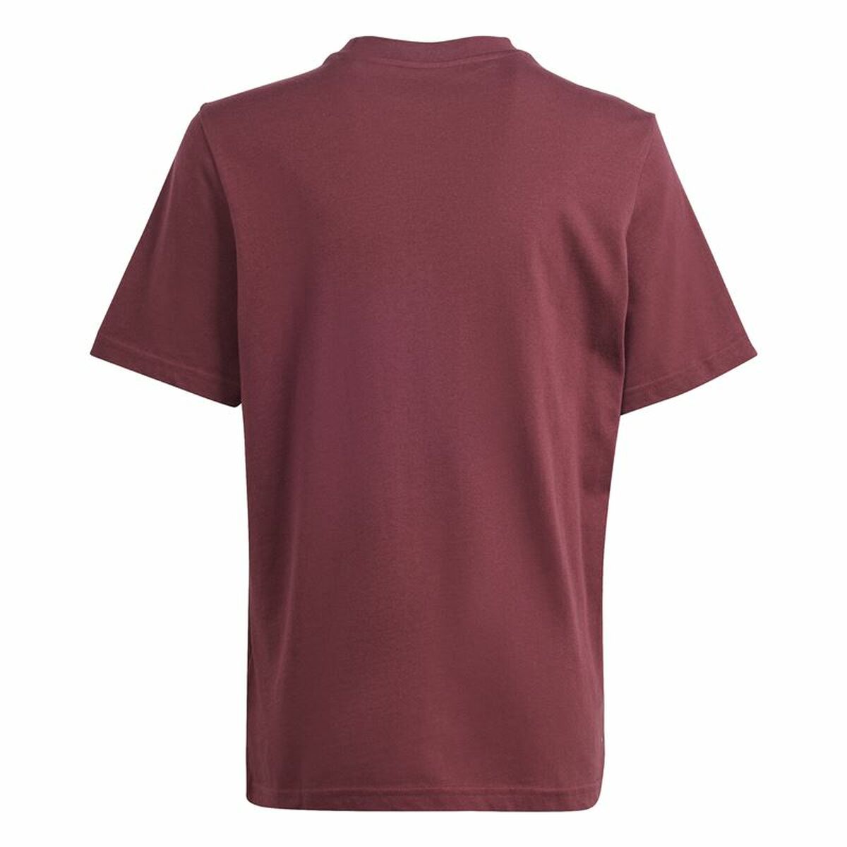 Short Sleeve T-Shirt Adidas Gfx Folded