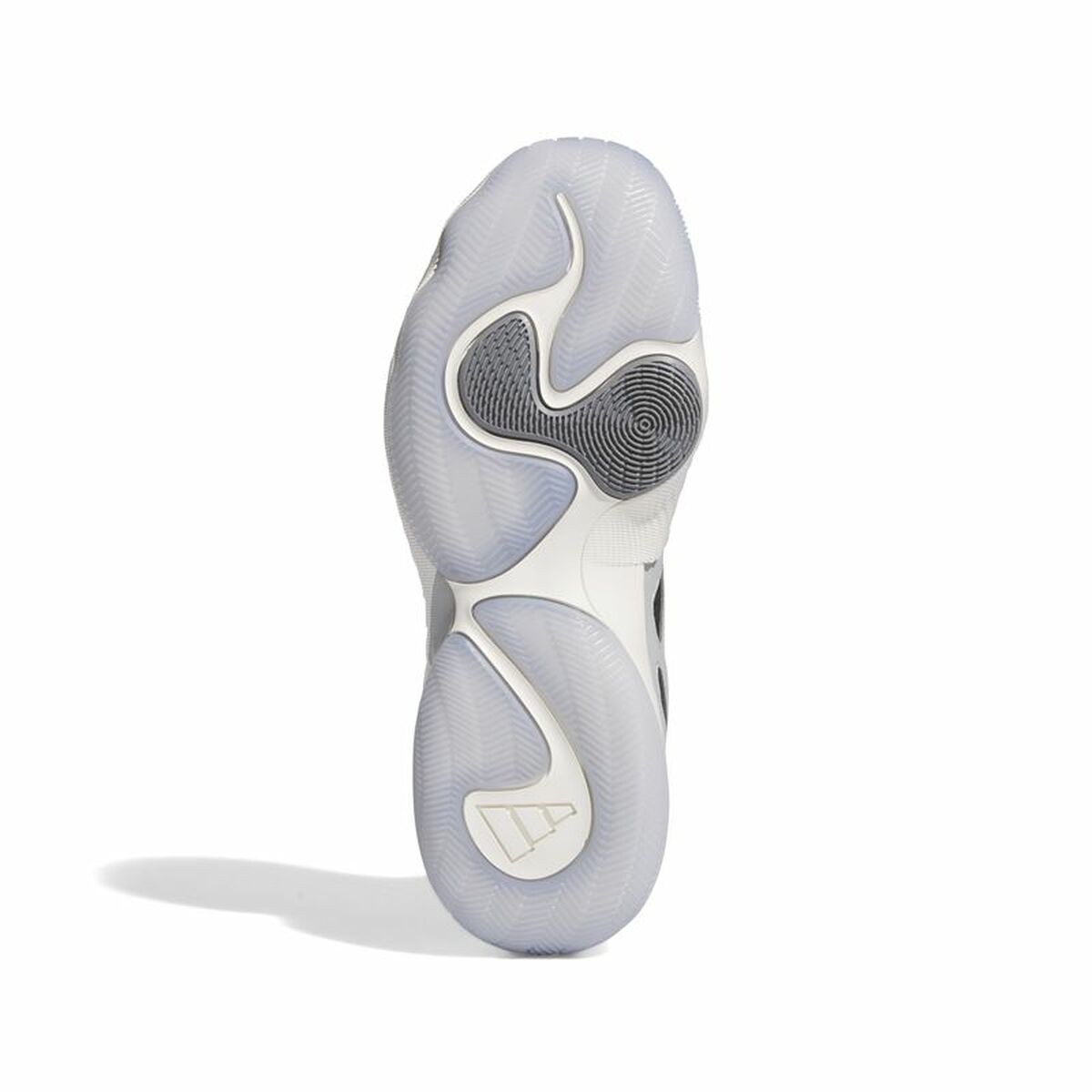 Basketball Shoes for Adults Adidas Trae Unlimited Blue